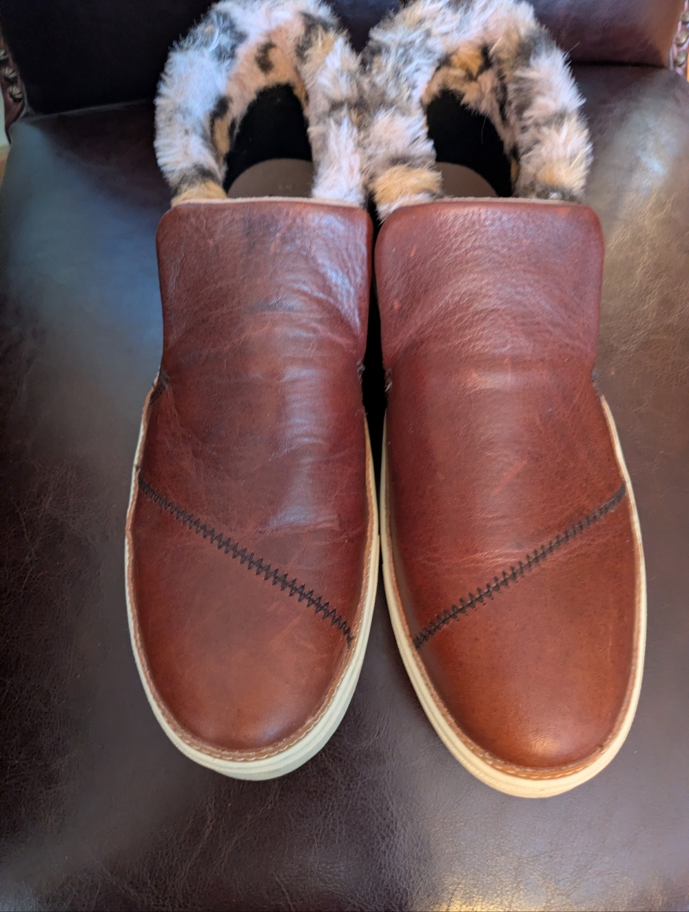 Toms Paxton Brown Leather Sneaker With Faux Fur Trim Size 9